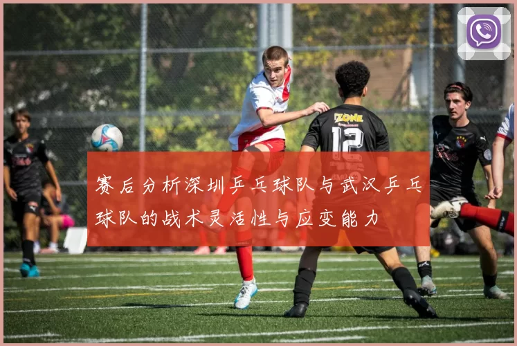 赛后分析深圳乒乓球队与武汉乒乓球队的战术灵活性与应变能力